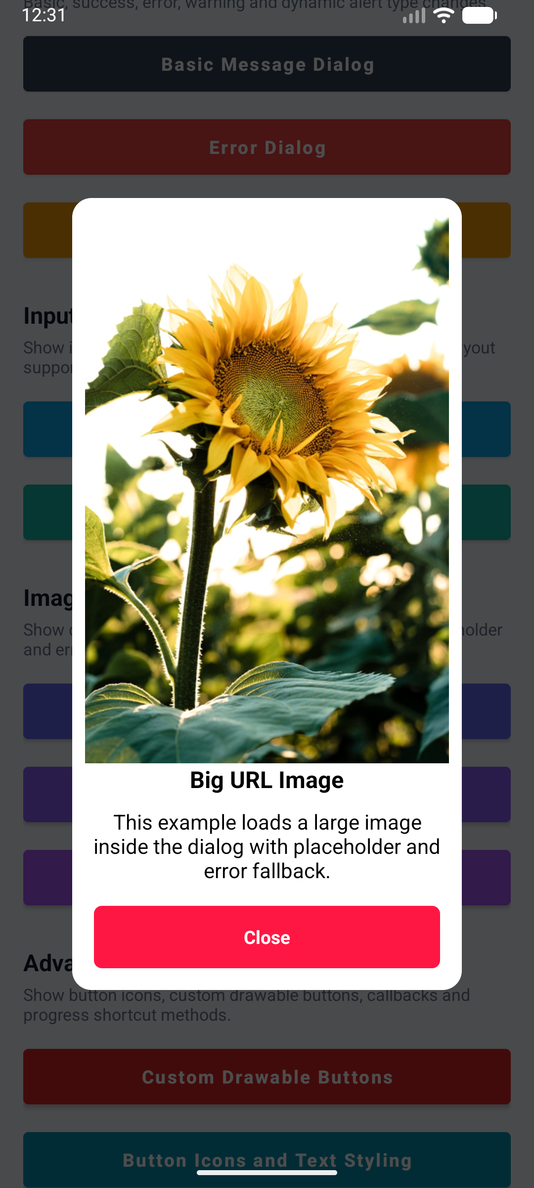 KAlertDialog Big URL Image Dialog