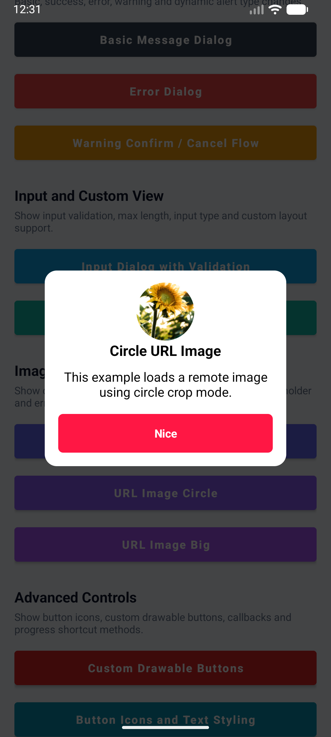 KAlertDialog URL Image Circle Dialog