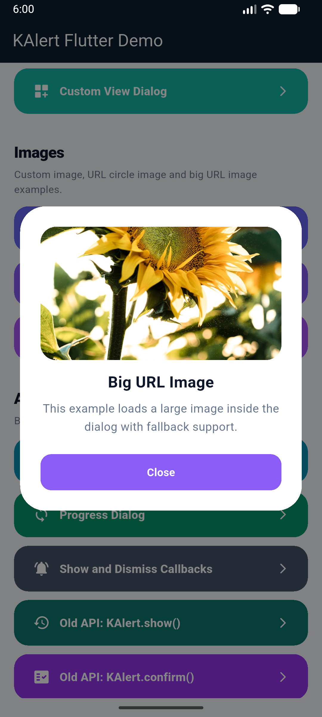 KAlertFlutter Big URL Image Dialog