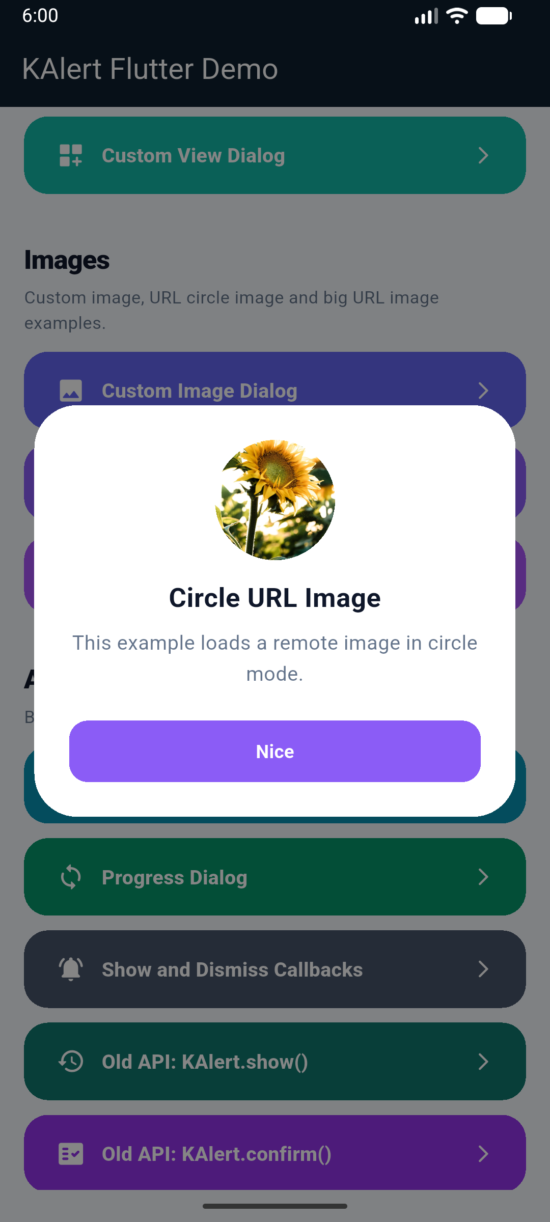 KAlertFlutter URL Circle Image Dialog