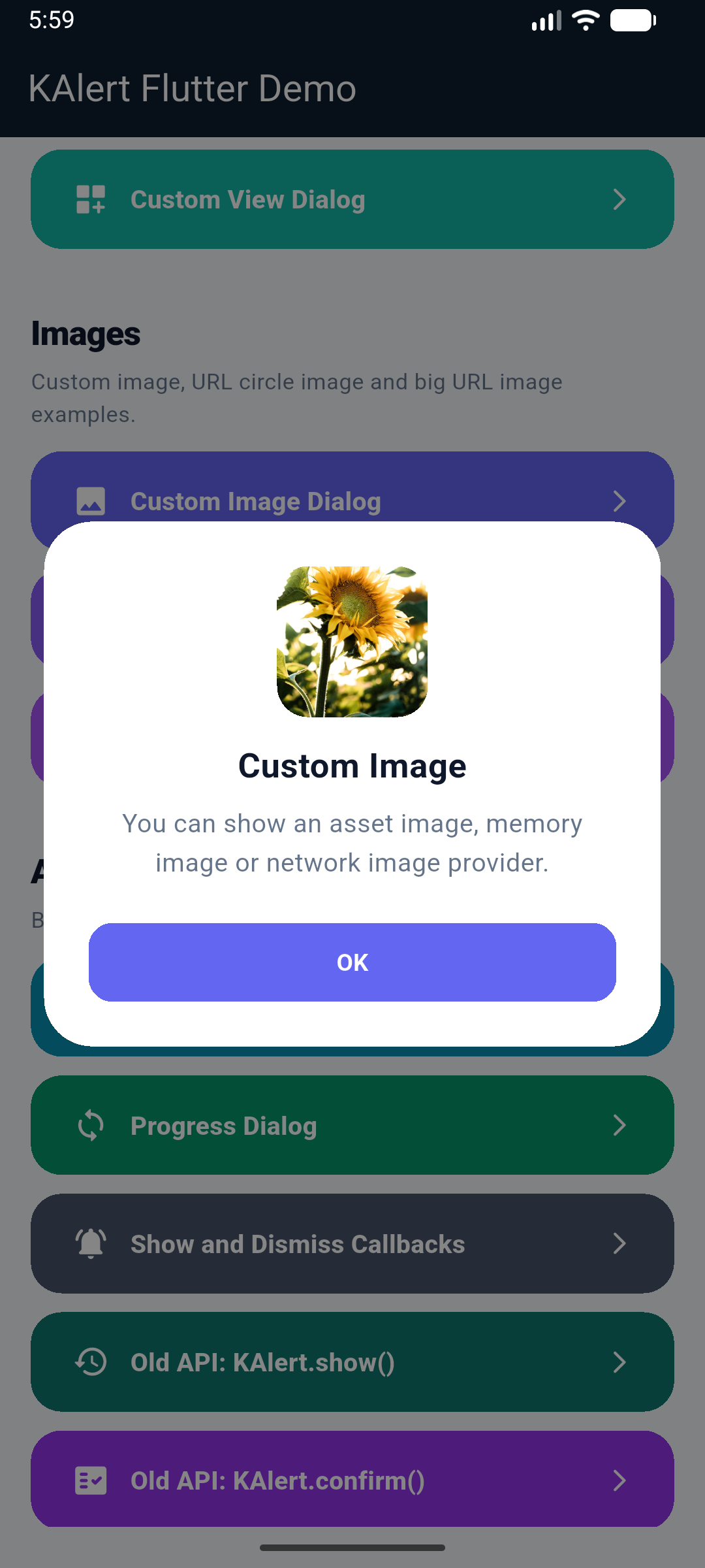 KAlertFlutter Custom Image Dialog